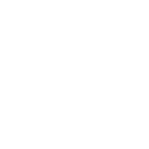 ICQ logo PNG
