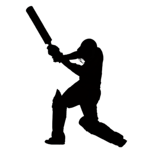 Cricket PNG