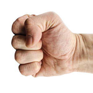 Fist PNG