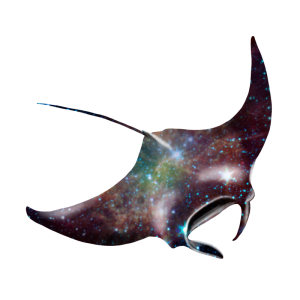 Stingray PNG