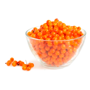 Sea buckthorn PNG