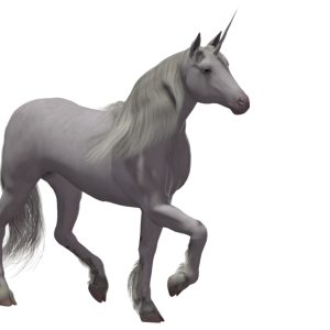 Unicorn PNG