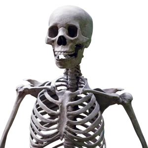 Skeleton PNG