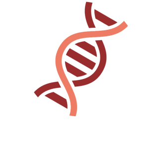 DNA PNG