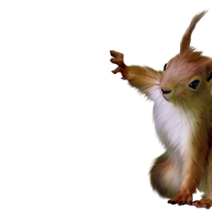 Squirrel PNG