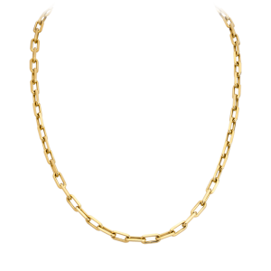 Jewelry PNG image