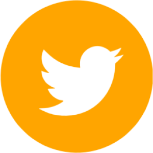 Twitter logo PNG
