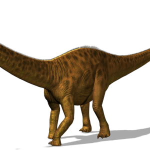 Dino PNG