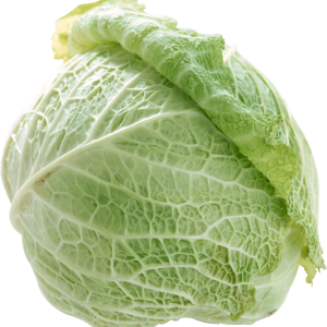 Cabbage PNG image