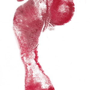 Footprints PNG