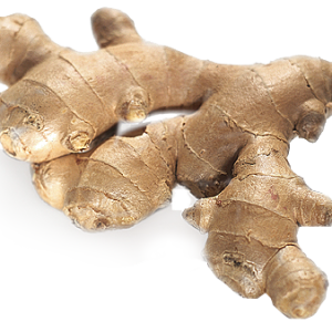 Ginger PNG