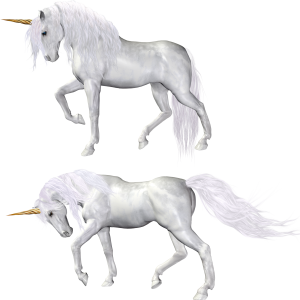 Unicorn PNG