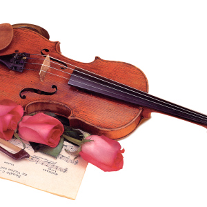 Violin PNG