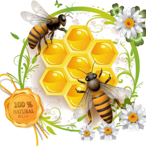Bee PNG