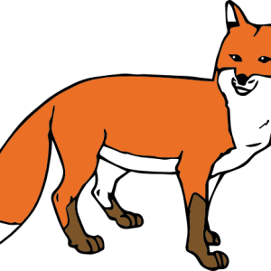 Fox PNG