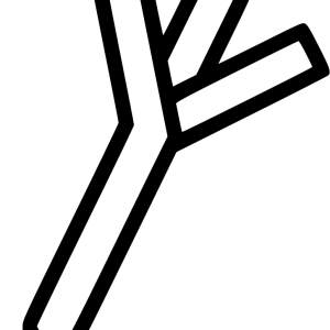 Leek PNG