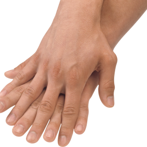 Hands PNG, hand image free