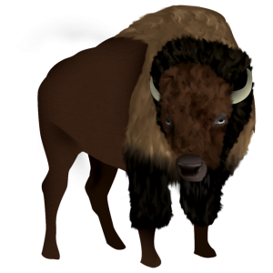 Bison PNG