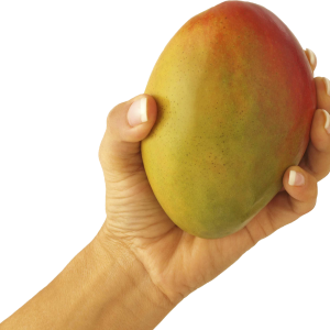 Mango in hand PNG image