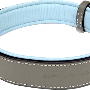Dog collar PNG
