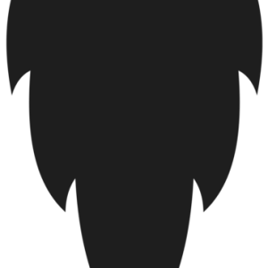 Beard PNG
