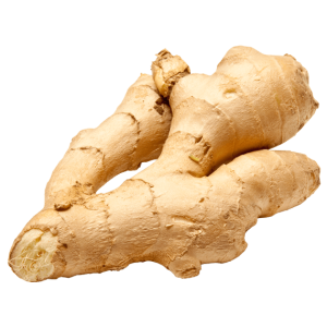 Ginger PNG