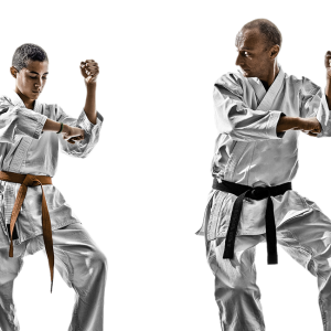 Karate PNG