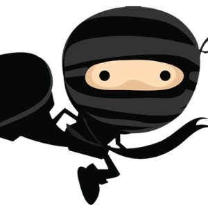Ninja PNG