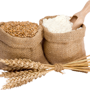 Wheat PNG