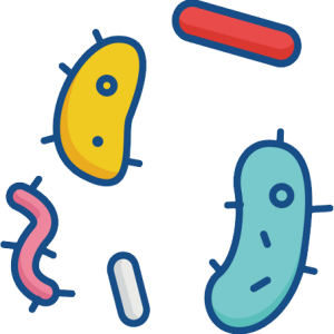 Bacteria PNG
