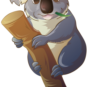 Koala PNG