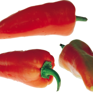 Pepper PNG image