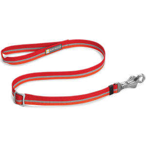 Leash PNG
