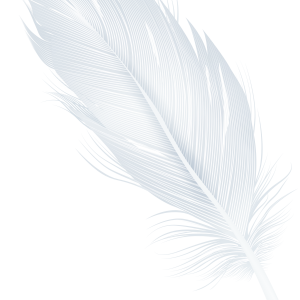 white feather PNG