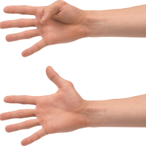 hand PNG