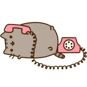 Pusheen PNG