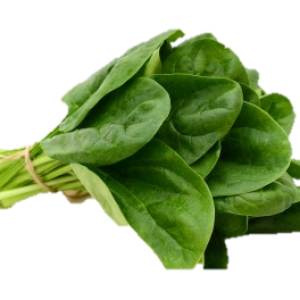 Spinach PNG