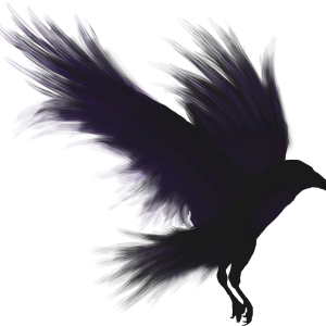 Raven PNG