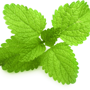 Pepermint PNG