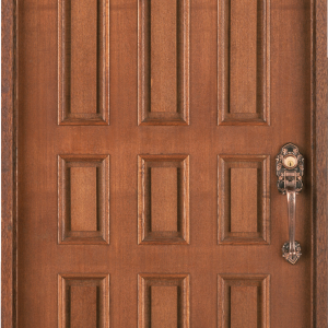 Wood door PNG