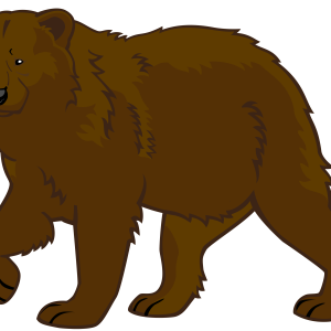 bear PNG