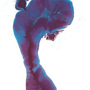 Footprints PNG