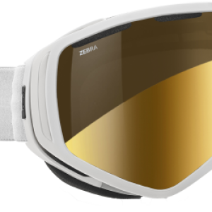 Ski Goggles PNG