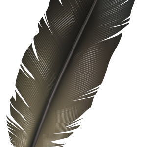 Feather PNG