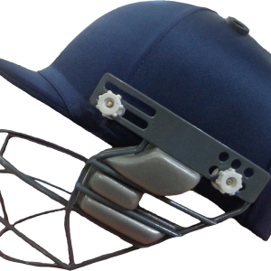 Cricket PNG