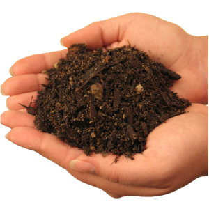Soil in hands PNG