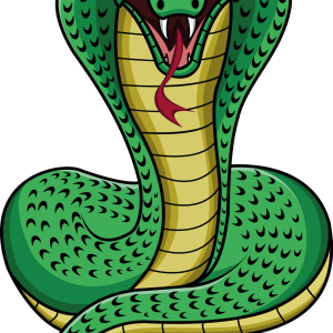 Cobra PNG