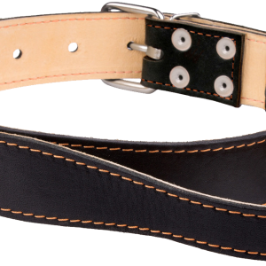 Dog collar PNG