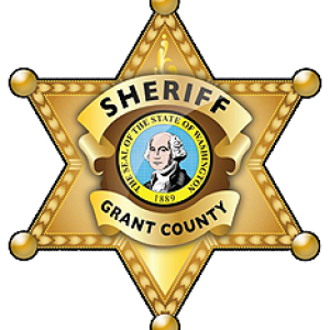 Sheriff badge PNG