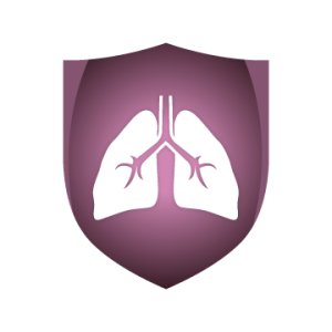 Lungs PNG